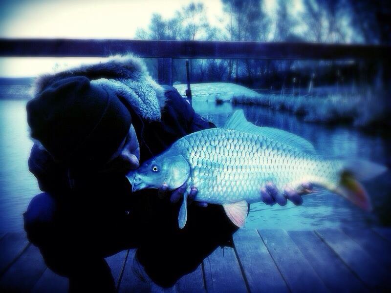 2013 - 2 - image1111111111111.jpg